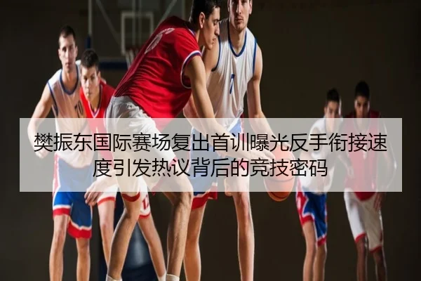 樊振东国际赛场复出首训曝光反手衔接速度引发热议背后的竞技密码