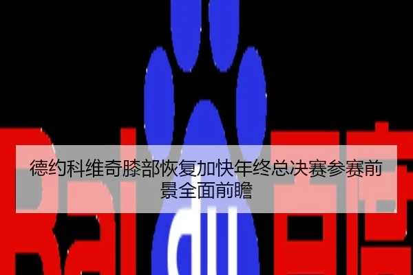 德约科维奇膝部恢复加快年终总决赛参赛前景全面前瞻